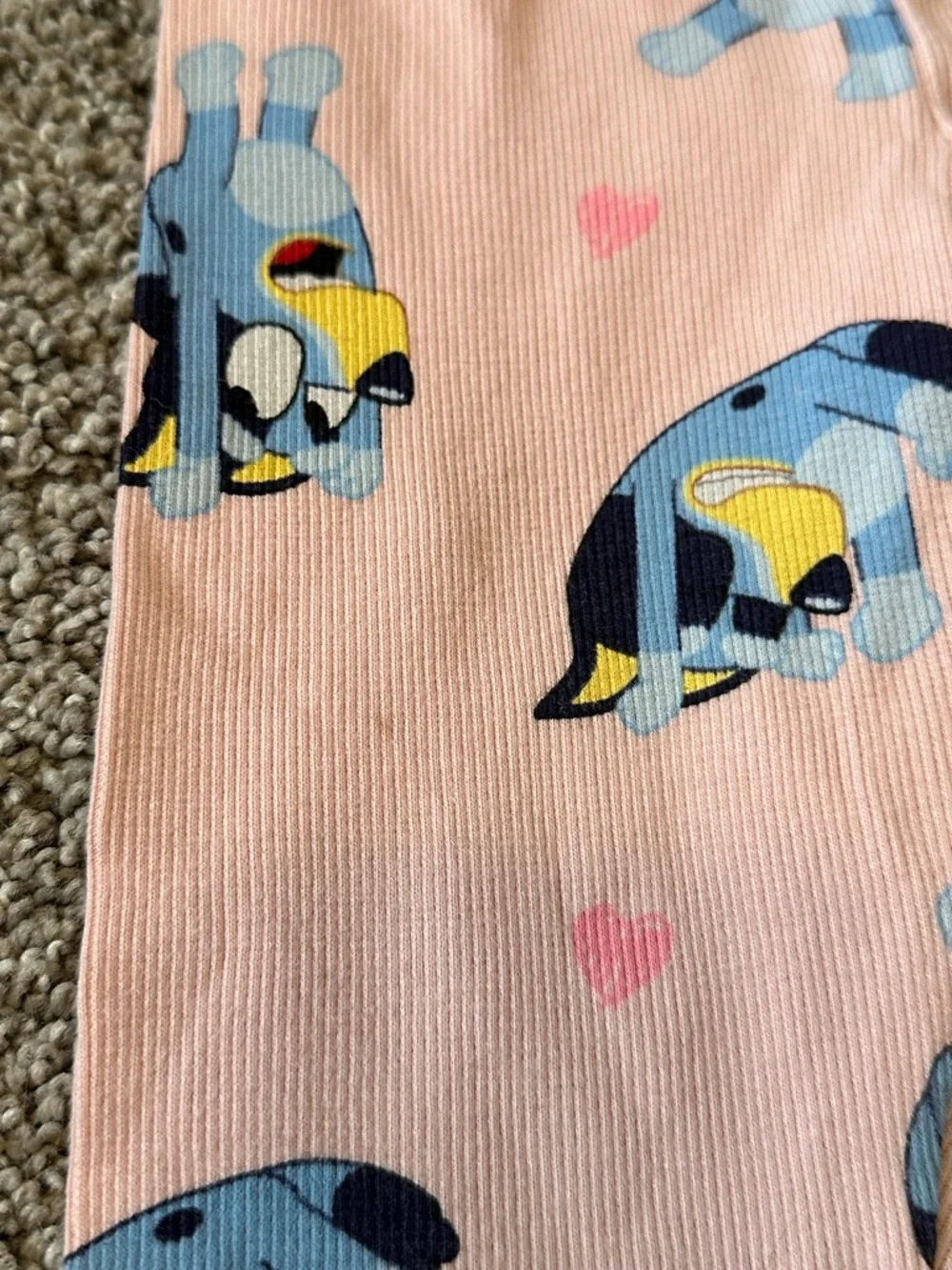 Zara Bluey Set